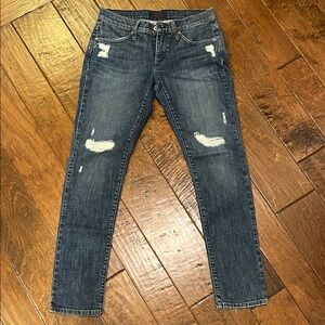 Distressed Blue Women's Jeans by James Jeans